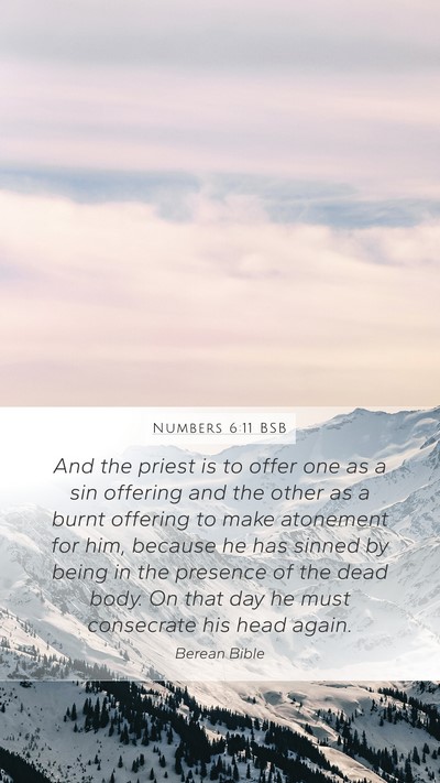 Numbers 6:11 BSB Mobile Phone Wallpaper - And the priest is to offer one as a sin offering - Mobile Bible Verse Wallpaper