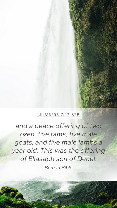 Numbers 7:47 BSB Mobile Phone Wallpaper - and a peace offering of two oxen, five rams, five - Mobile Bible Verse Wallpaper