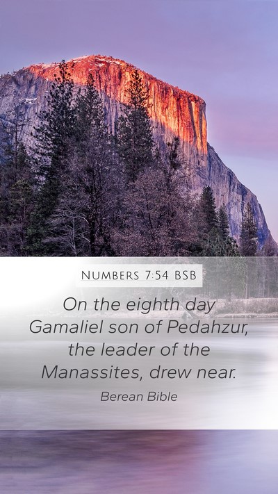 Numbers 7:54 BSB Bible Verse Image