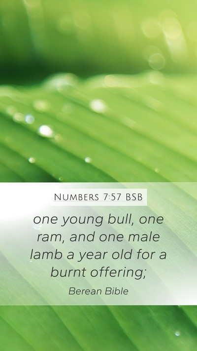 Numbers 7:57 BSB Mobile Phone Wallpaper - one young bull, one ram, and one male lamb a year - Mobile Bible Verse Wallpaper