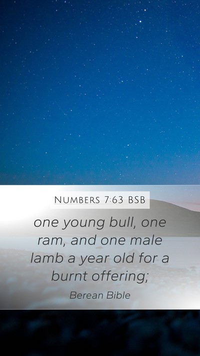 Numbers 7:63 BSB Mobile Phone Wallpaper - one young bull, one ram, and one male lamb a year - Mobile Bible Verse Wallpaper