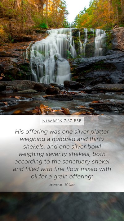 Numbers 7:67 BSB Mobile Phone Wallpaper - His offering was one silver platter weighing a - Mobile Bible Verse Wallpaper