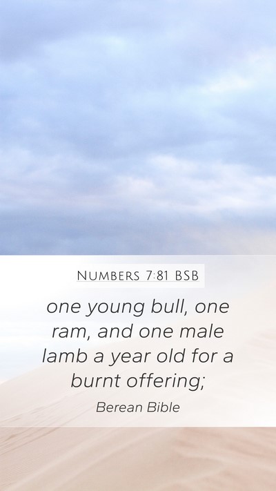 Numbers 7:81 BSB Mobile Phone Wallpaper - one young bull, one ram, and one male lamb a year - Mobile Bible Verse Wallpaper