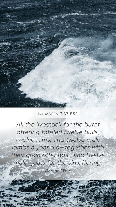 Numbers 7:87 BSB Mobile Phone Wallpaper - All the livestock for the burnt offering totaled - Mobile Bible Verse Wallpaper