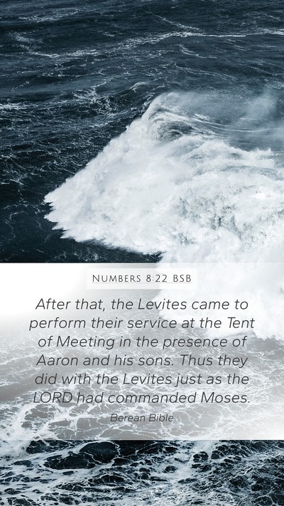 Numbers 8:22 BSB Bible Verse Image