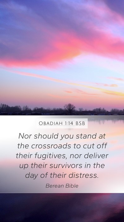 Obadiah 1:14 BSB Bible Verse Image