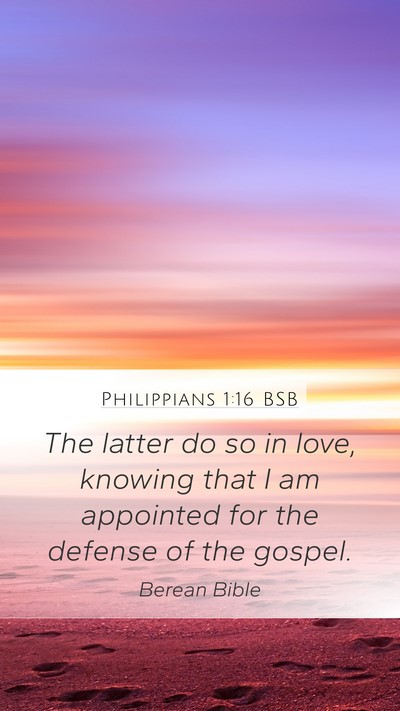 Philippians 1:16 BSB Bible Verse Image