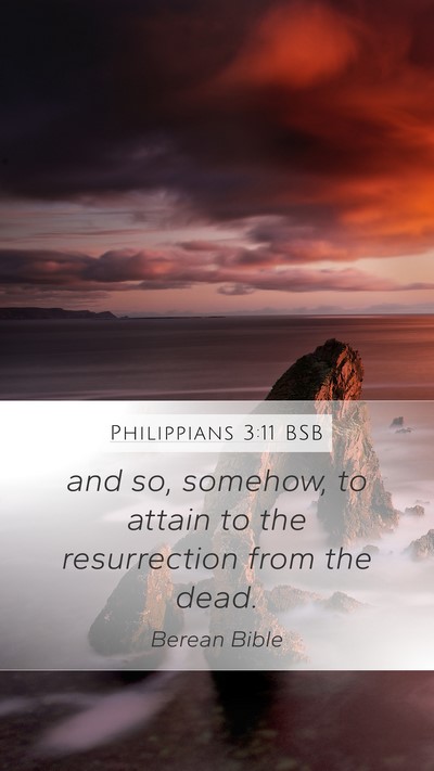 Philippians 3:11 BSB Bible Verse Image