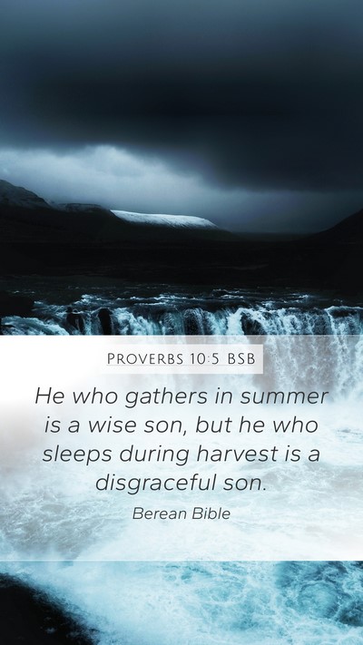 Proverbs 10:5 BSB Bible Verse Image