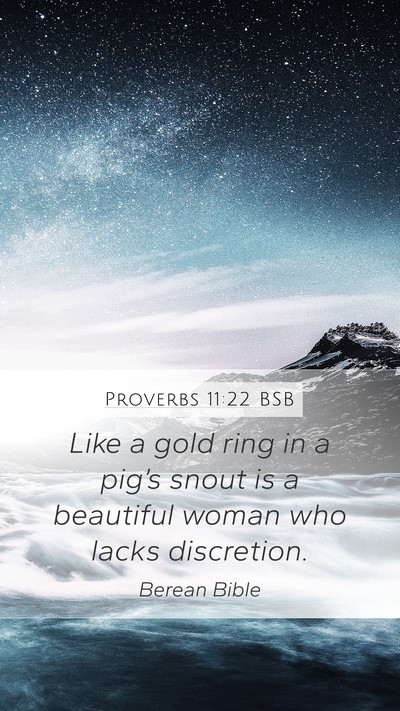 Proverbs 11:22 BSB Mobile Phone Wallpaper - Like a gold ring in a pig’s snout is a - Mobile Bible Verse Wallpaper