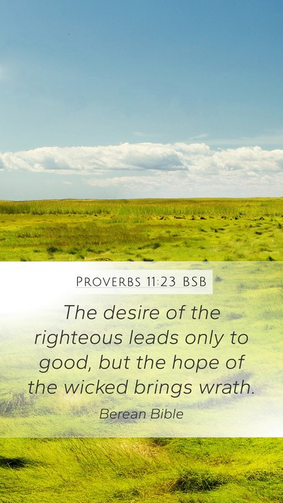 Proverbs 11:23 BSB Bible Verse Image