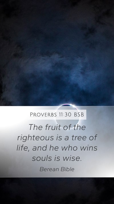 Proverbs 11:30 BSB Bible Verse Image