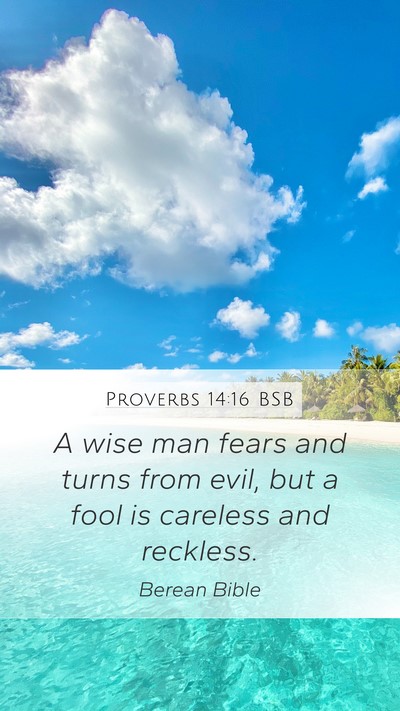 Proverbs 14:16 BSB Bible Verse Image