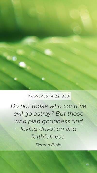 Proverbs 14:22 BSB Bible Verse Image
