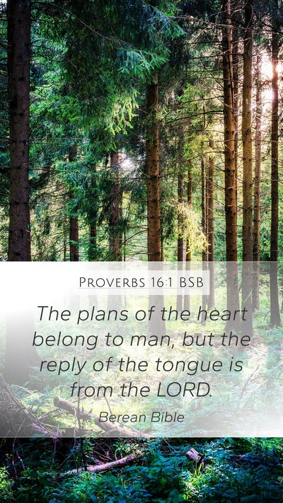 Proverbs 16:1 BSB Bible Verse Image