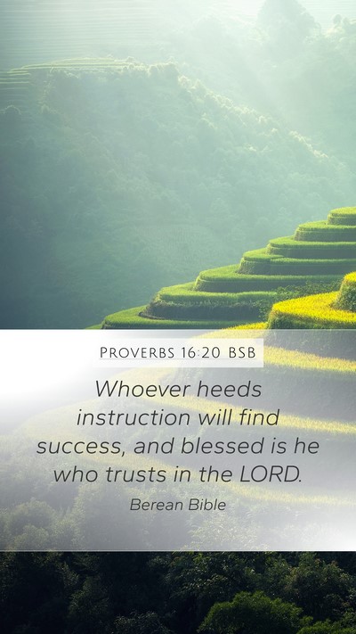Proverbs 16:20 BSB Bible Verse Image