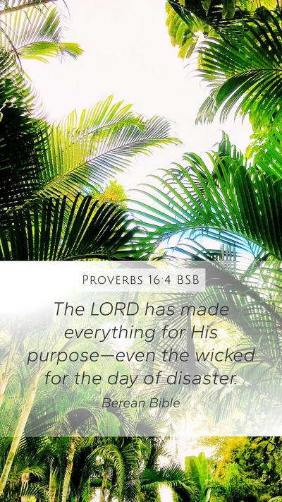 Proverbs 16:4 BSB Bible Verse Image