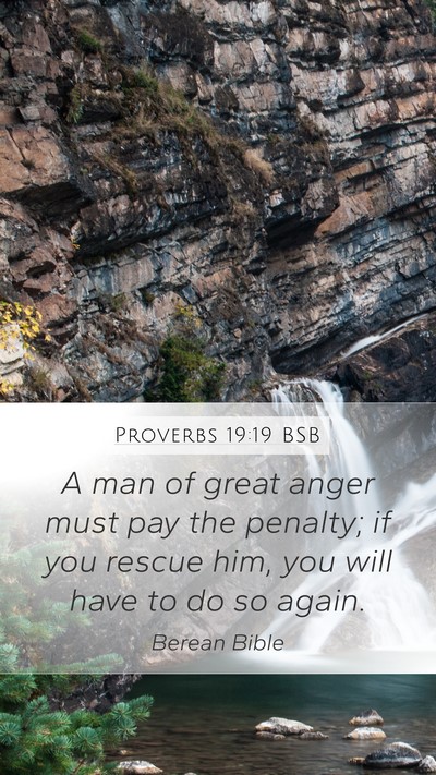Proverbs 19:19 BSB Bible Verse Image