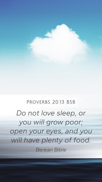 Proverbs 20:13 BSB Bible Verse Image