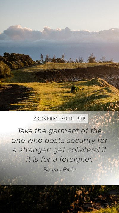 Proverbs 20:16 BSB Bible Verse Image