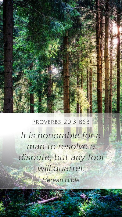 Proverbs 20:3 BSB Bible Verse Image