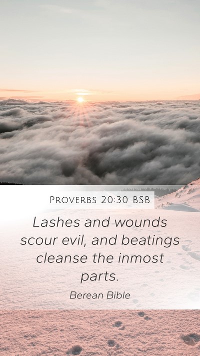 Proverbs 20:30 BSB Mobile Phone Wallpaper - Lashes and wounds scour evil, and beatings - Mobile Bible Verse Wallpaper