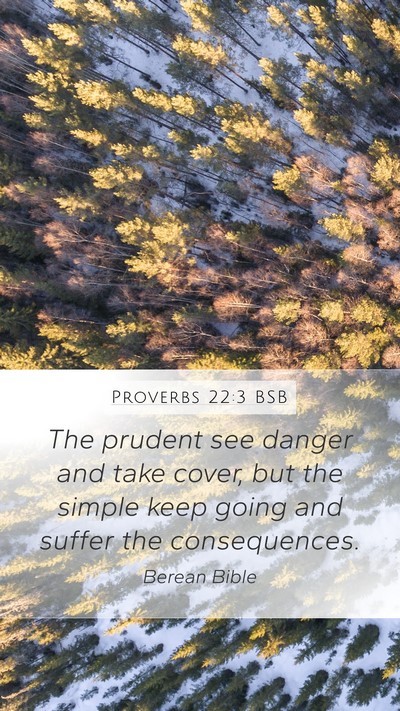 Proverbs 22:3 BSB Bible Verse Image