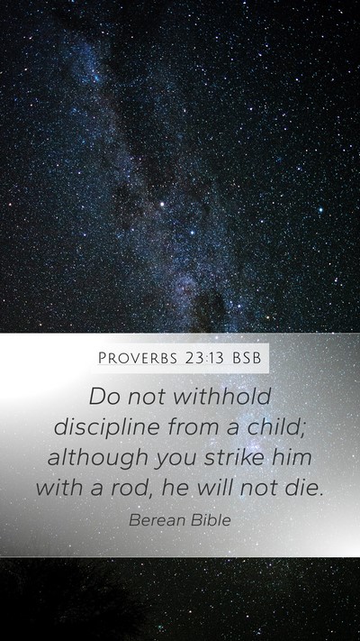 Proverbs 23:13 BSB Bible Verse Image