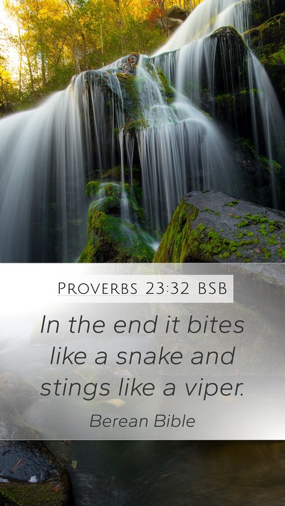 Proverbs 23:32 BSB Bible Verse Image
