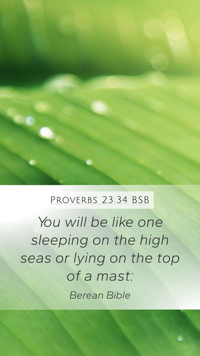 Proverbs 23:34 BSB Bible Verse Image