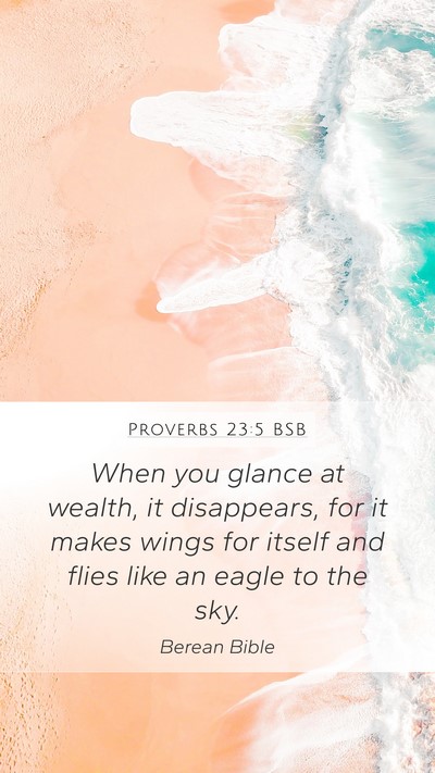 Proverbs 23:5 BSB Bible Verse Image
