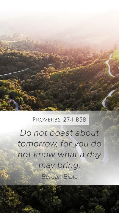 Proverbs 27:1 BSB Bible Verse Image