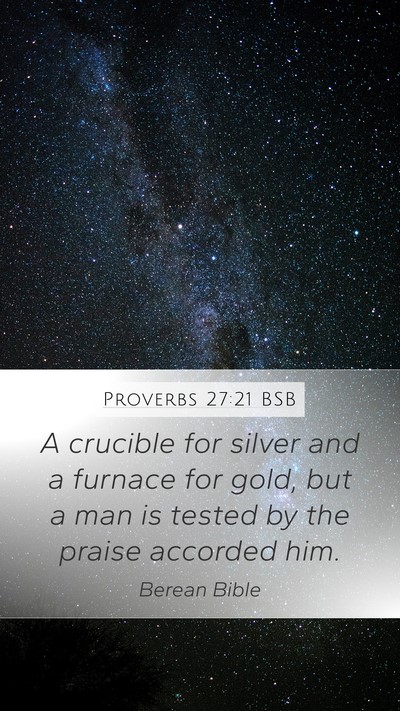 Proverbs 27:21 BSB Bible Verse Image