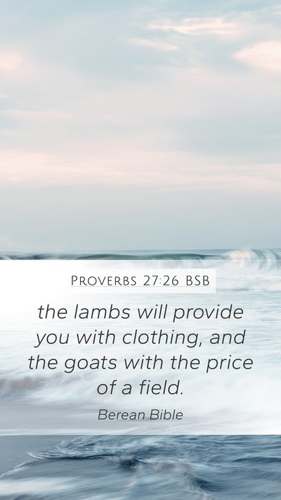 Proverbs 27:26 BSB Mobile Phone Wallpaper - the lambs will provide you with clothing, and the - Mobile Bible Verse Wallpaper