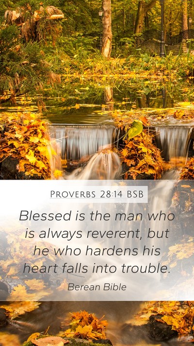 Proverbs 28:14 BSB Bible Verse Image
