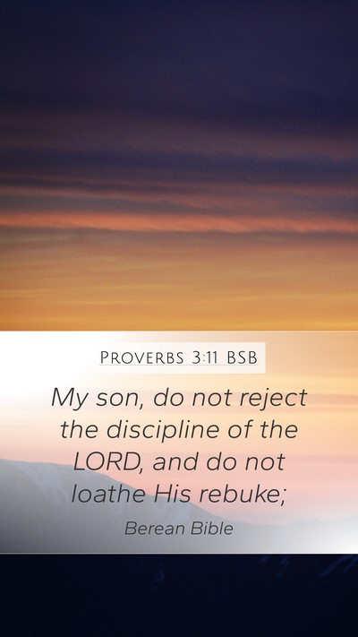 Proverbs 3:11 BSB Bible Verse Image