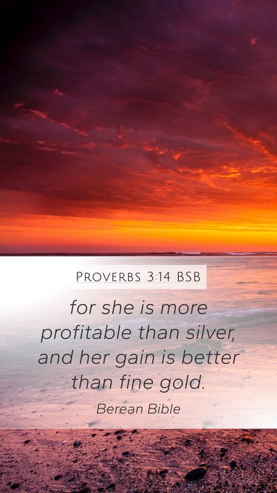 Proverbs 3:14 BSB Bible Verse Image