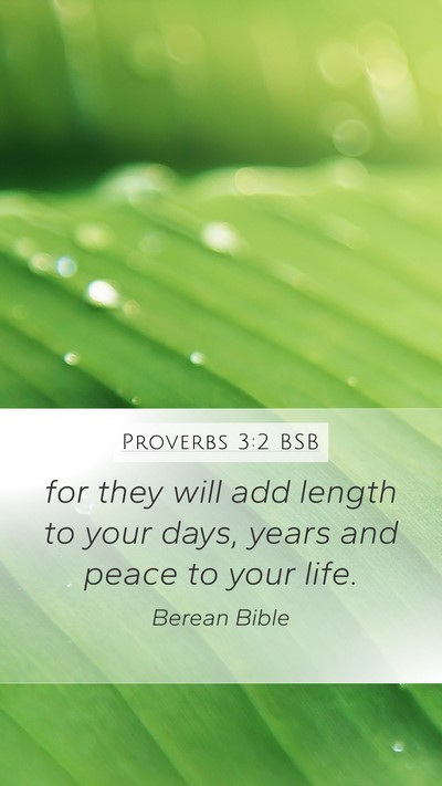 Proverbs 3:2 BSB Mobile Phone Wallpaper - for they will add length to your days, years and - Mobile Bible Verse Wallpaper