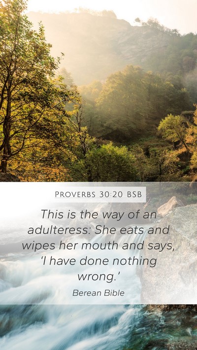 Proverbs 30:20 BSB Bible Verse Image
