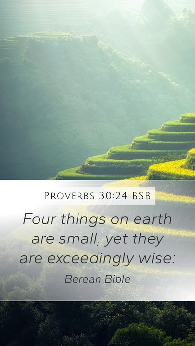 Proverbs 30:24 BSB Bible Verse Image