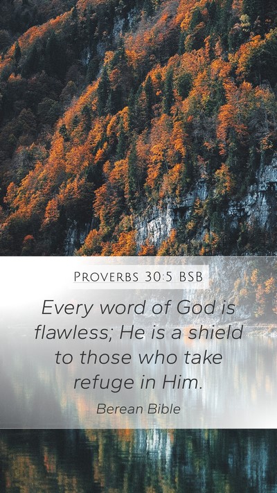 Proverbs 30:5 BSB Bible Verse Image
