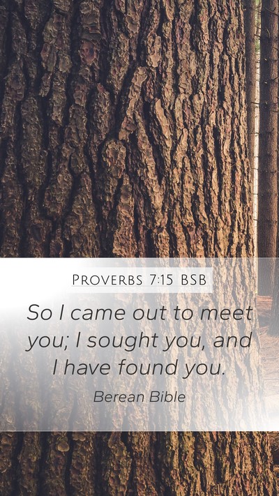 Proverbs 7:15 BSB Mobile Phone Wallpaper - So I came out to meet you; I sought you, and I - Mobile Bible Verse Wallpaper