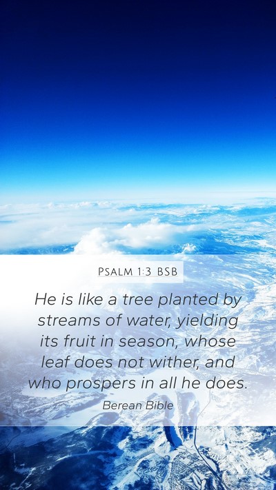 Psalm 1:3 BSB Bible Verse Image