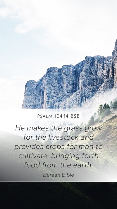 Psalm 104:14 BSB Bible Verse Image