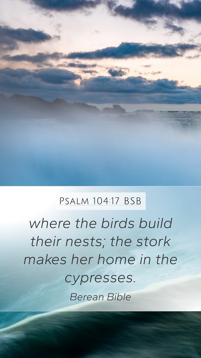 Psalm 104:17 BSB Bible Verse Image