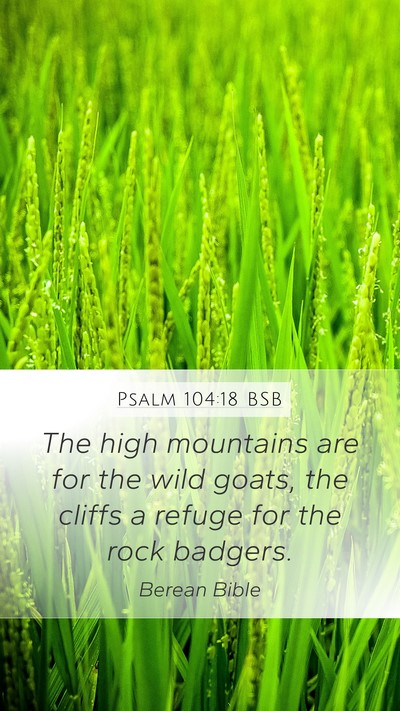 Psalm 104:18 BSB Bible Verse Image