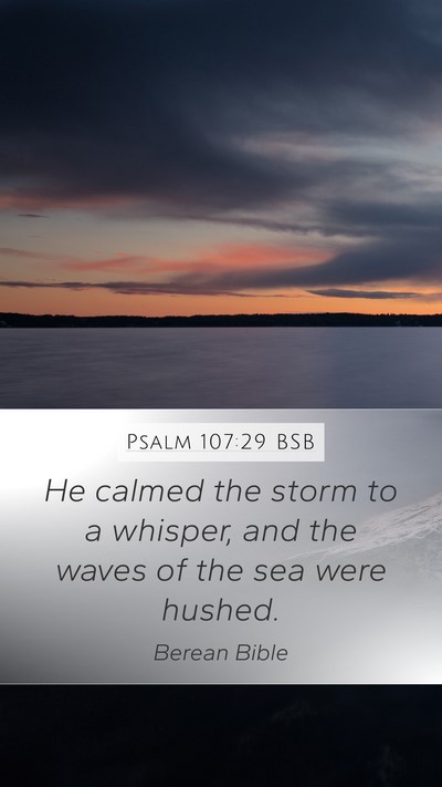 Psalm 107:29 BSB Bible Verse Image