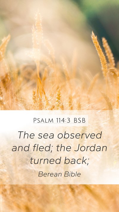 Psalm 114:3 BSB Bible Verse Image