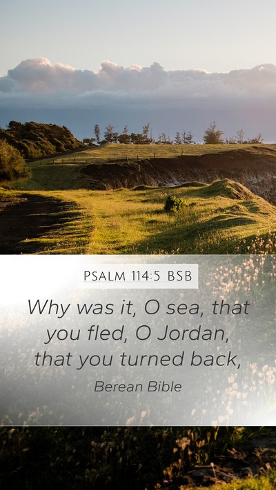 Psalm 114:5 BSB Bible Verse Image