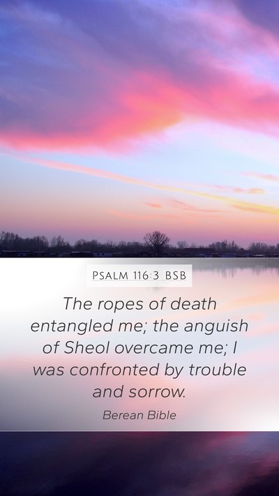 Psalm 116:3 BSB Bible Verse Image